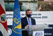 El Argentino Manuel Otero, reelecto como director general del IICA