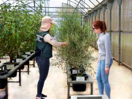 El secreto detrás de la excelencia agrícola y ganadera de Chile