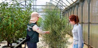 El secreto detrás de la excelencia agrícola y ganadera de Chile