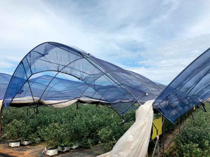 En México otorgan patente que permitirá expandir mallas foto-selectivas generadas en Agronomía UdeC