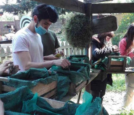 Estudiantes de agronomía UdeC participarán del programa de huertas urbanas en Chiguayante