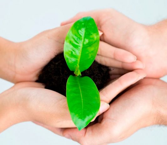 Experto entrega 7 consejos para tener una vida más sustentable