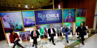 Expo Chile Agrícola 2021 tuvo más de 100 mil visitas a sus actividades de capacitación gratuita