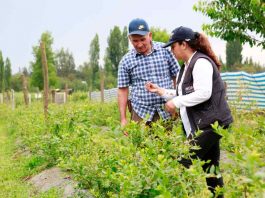 Expo Chile Agrícola concluye definiendo acciones para enfrentar la sequía y el cambio climático Expo Chile Agrícola concluye definiendo acciones para enfrentar la sequía y el cambio climático