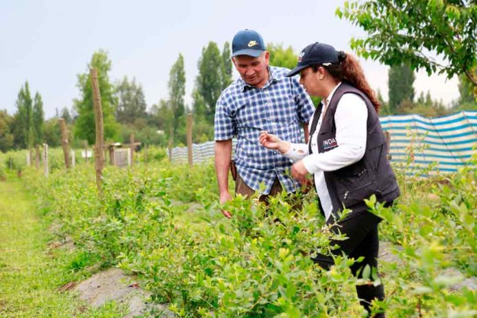 Expo Chile Agrícola concluye definiendo acciones para enfrentar la sequía y el cambio climático