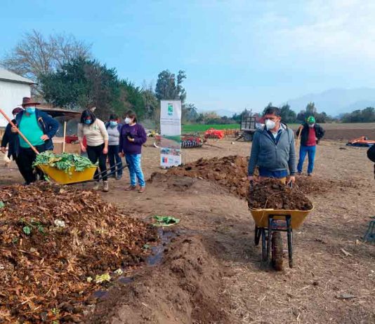 Extensionistas de INIA la platina realizaron día de Campo en Melipilla para impulsar alternativas sustentables al uso del fuego en tareas agrícolas