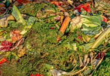 Facultad de Agronomía UdeC fortalece estrategias para mitigar el Desperdicio de Alimentos