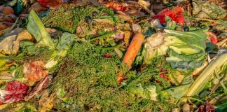 Facultad de Agronomía UdeC fortalece estrategias para mitigar el Desperdicio de Alimentos