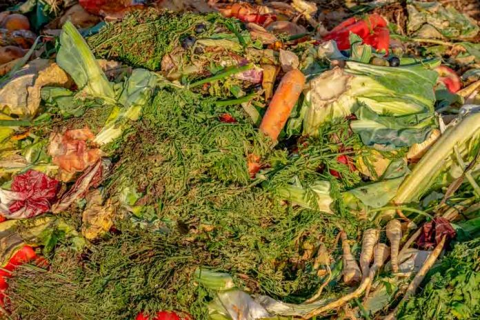 Facultad de Agronomía UdeC fortalece estrategias para mitigar el Desperdicio de Alimentos