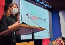 Gobierno lanza proyecto “Banco ADN Animal” para prevenir y combatir el delito de abigeato en la región del Biobío  