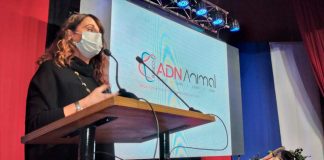 Gobierno lanza proyecto “Banco ADN Animal” para prevenir y combatir el delito de abigeato en la región del Biobío  