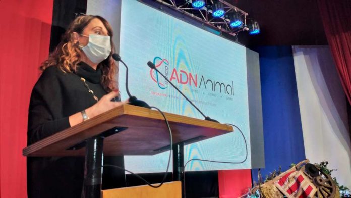 Gobierno lanza proyecto “Banco ADN Animal” para prevenir y combatir el delito de abigeato en la región del Biobío  
