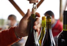 Hasta 500 mil litros de vino podrán producir pequeños Viñateros de Itata gracias a nuevo convenio INDAP – ARAUCO