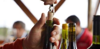Hasta 500 mil litros de vino podrán producir pequeños Viñateros de Itata gracias a nuevo convenio INDAP – ARAUCO