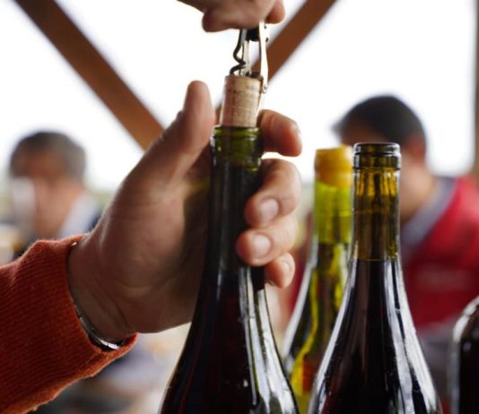 Hasta 500 mil litros de vino podrán producir pequeños Viñateros de Itata gracias a nuevo convenio INDAP – ARAUCO