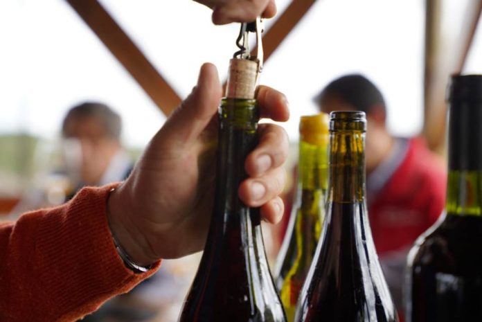 Hasta 500 mil litros de vino podrán producir pequeños Viñateros de Itata gracias a nuevo convenio INDAP – ARAUCO