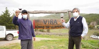 INDAP celebró Día Nacional del Vino junto a pequeños productores campesinos del valle del Itata 