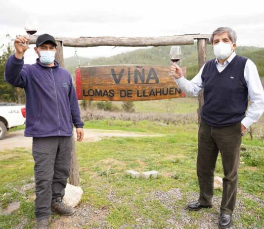 INDAP celebró Día Nacional del Vino junto a pequeños productores campesinos del valle del Itata 