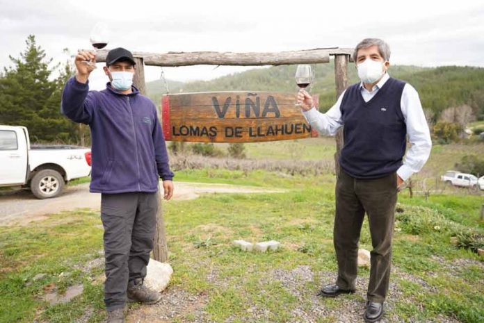INDAP celebró Día Nacional del Vino junto a pequeños productores campesinos del valle del Itata 