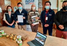 INDAP incorpora herramientas tecnológicas a sus instrumentos crediticios