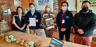 INDAP incorpora herramientas tecnológicas a sus instrumentos crediticios