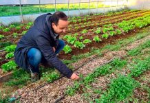 IPAAM promueve la reutilización de residuos orgánicos de la poda para el cultivo de hortalizas