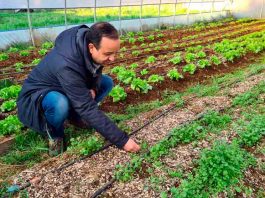 IPAAM promueve la reutilización de residuos orgánicos de la poda para el cultivo de hortalizas