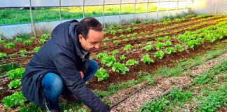 IPAAM promueve la reutilización de residuos orgánicos de la poda para el cultivo de hortalizas