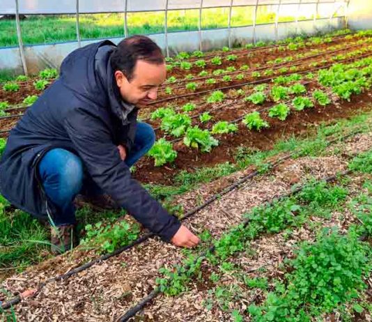 IPAAM promueve la reutilización de residuos orgánicos de la poda para el cultivo de hortalizas