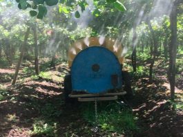 Polinización asistida en plantaciones