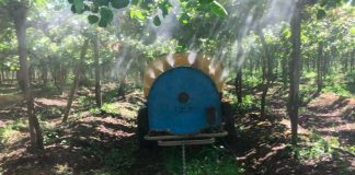 Polinización asistida en plantaciones