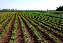 Pequeños productores y comunidades Agrícolas afectadas por la sequía disponen de $3 mil millones para repostular sus proyectos de riego