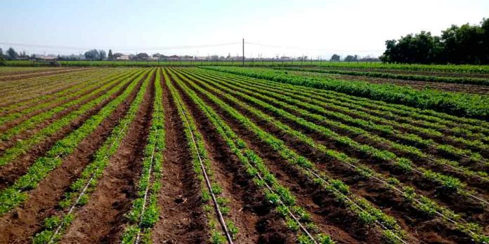 Pequeños productores y comunidades Agrícolas afectadas por la sequía disponen de $3 mil millones para repostular sus proyectos de riego