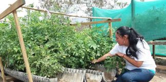 Positivo balance de Expo Chile Agrícola 2021: Mujeres duplican a los hombres en interés por capacitarse