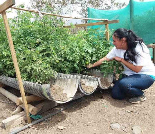 Positivo balance de Expo Chile Agrícola 2021: Mujeres duplican a los hombres en interés por capacitarse