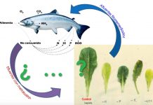  Proyecto impulsa establecer red productiva biointegrada para el sector agrícola y acuícola