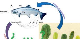  Proyecto impulsa establecer red productiva biointegrada para el sector agrícola y acuícola