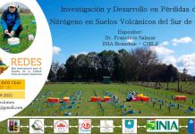 Realizarán seminario sobre pérdidas de nitrógeno en suelos volcánicos del sur de Chile