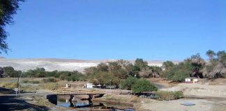 Seis libros educativos para combatir el cambio climático en la producción agricultura