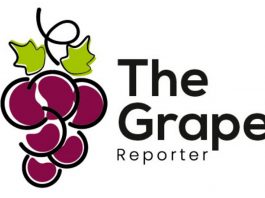 The Grape Reporter, la plataforma de estrategias y análisis exclusivo de uva de mesa en el mundo