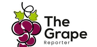 The Grape Reporter, la plataforma de estrategias y análisis exclusivo de uva de mesa en el mundo