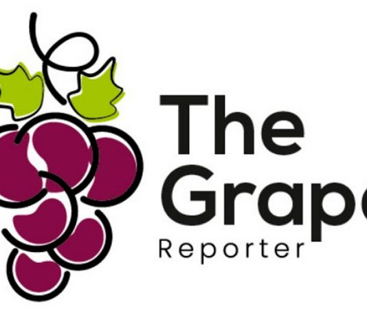 The Grape Reporter, la plataforma de estrategias y análisis exclusivo de uva de mesa en el mundo