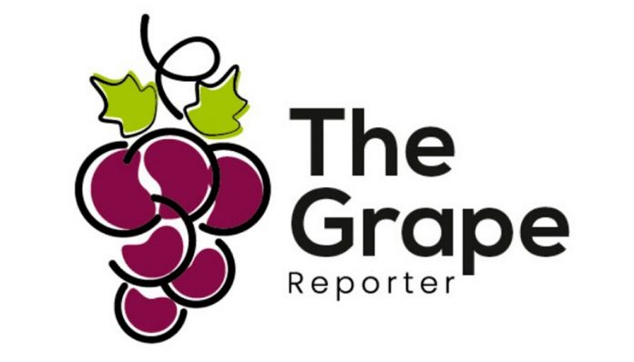 The Grape Reporter, la plataforma de estrategias y análisis exclusivo de uva de mesa en el mundo