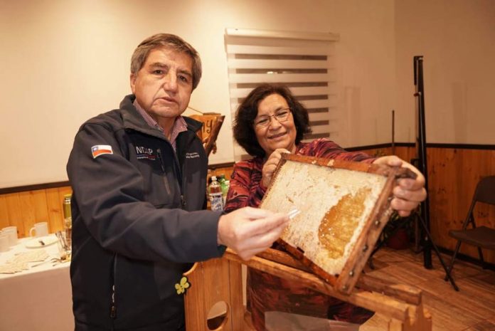 Un “reencuentro seguro con el campo” ofrecen los emprendedores de turismo rural de INDAP