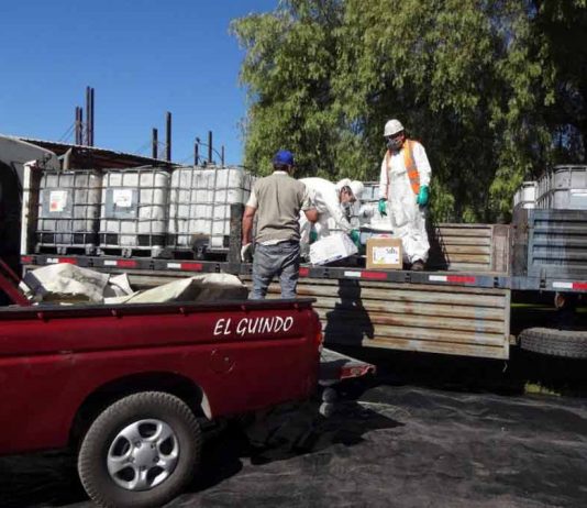 1.800 kilos de plaguicidas caducados fueron recolectados para valorización en Mostazal