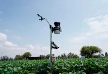 114 pequeños agricultores de Melipilla acceden a tecnología de punta gracias a alianza público-privada