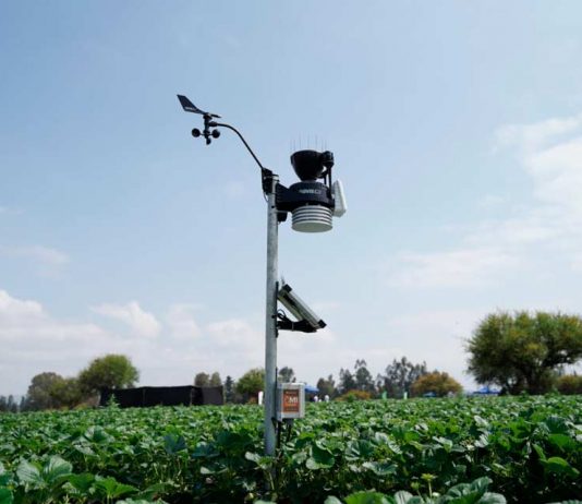 114 pequeños agricultores de Melipilla acceden a tecnología de punta gracias a alianza público-privada