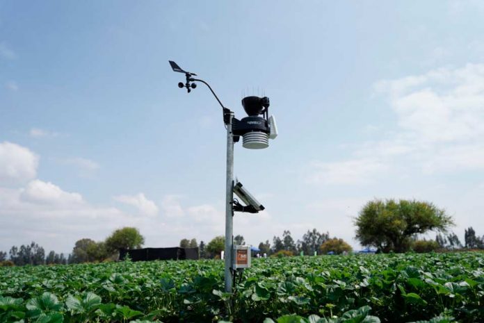 114 pequeños agricultores de Melipilla acceden a tecnología de punta gracias a alianza público-privada