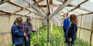 Agricultor apoyado por INDAP impulsa modelo productivo que rescata prácticas ancestrales