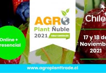 Agro Plant Ñuble 2021: encuentro anual del agro organizado por los viveristas de Chile también hablará de la situación actual en la producción de arándanos
